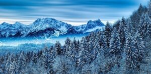 hiver neige (2) (1)